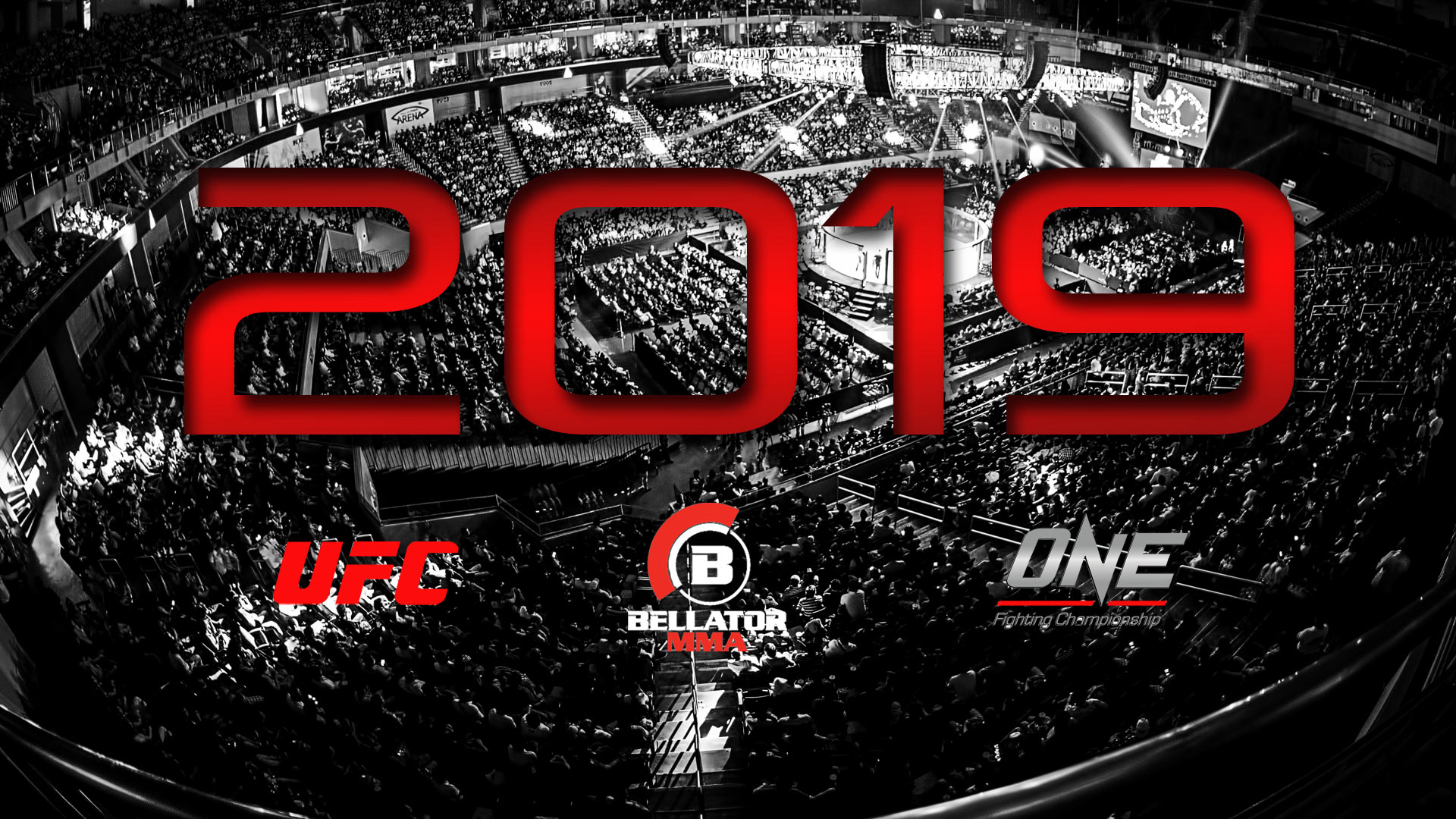 MMA FIGHTS TO WATCH IN 2019