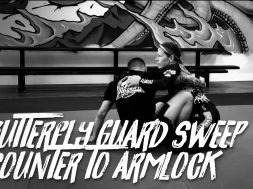 BUTTERFLY GUARD SWEEP COUNTER TO ARMLOCK