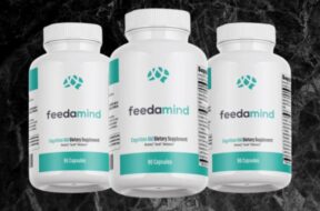 Feedamind Review