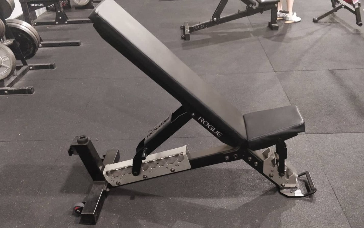My Experience With The Rogue Adjustable Bench 3.0 (2024 Review)