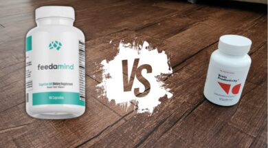 Feedamind vs NooCube