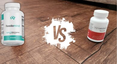 Vyvamind vs Feedamind