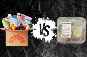 Hungryroot vs Thistle