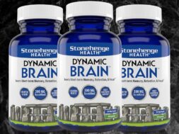 Dynamic Brain Review