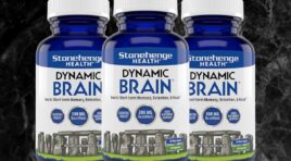 My Experience Taking Dynamic Brain (2025 Review)