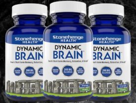 Dynamic Brain Review