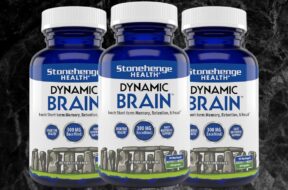 Dynamic Brain Review
